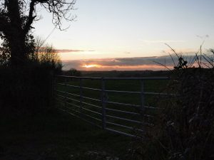 Sunset