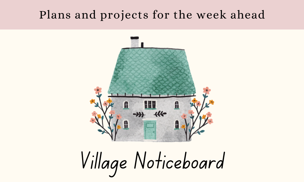 A Year With Lane Folk